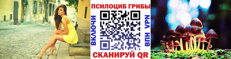 сколько стоит  Фатеж  Псилоцибиновые грибы Magic Shrooms 