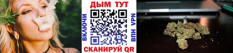 купить закладку  Фатеж  Канабис Amnesia 